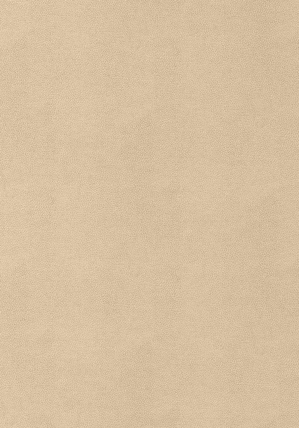 thibaut gaucho fabric w9052