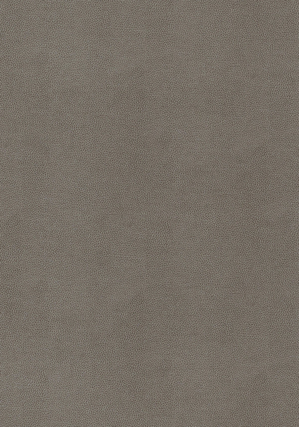 thibaut gaucho fabric w9056