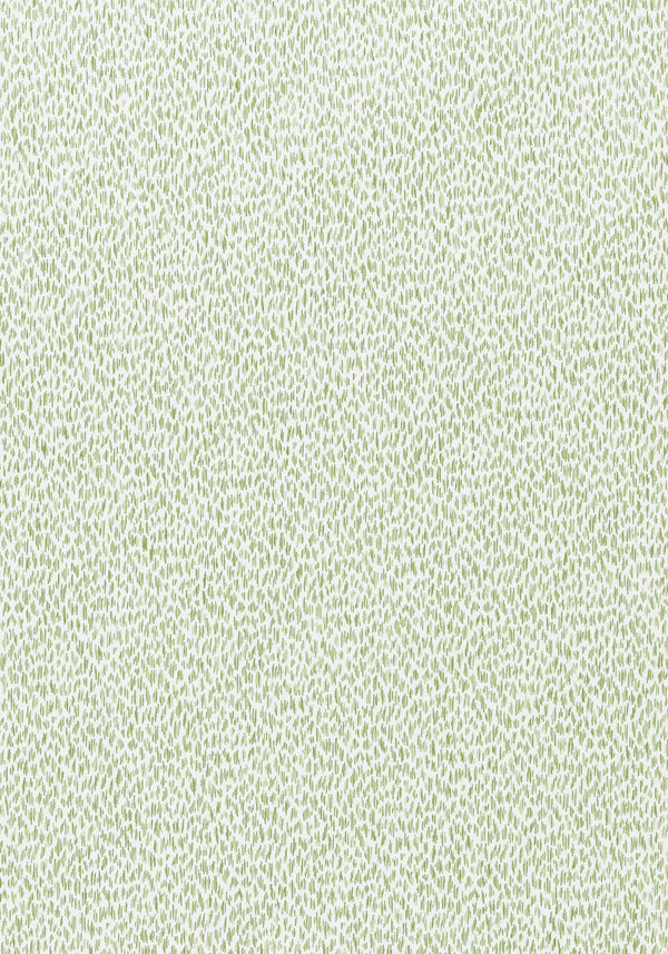 thibaut samara fabric w9148