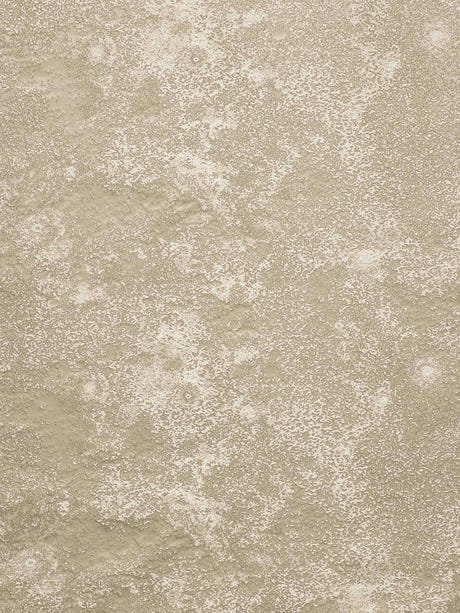 scalamandre astral lune fabric - scala h04229-002