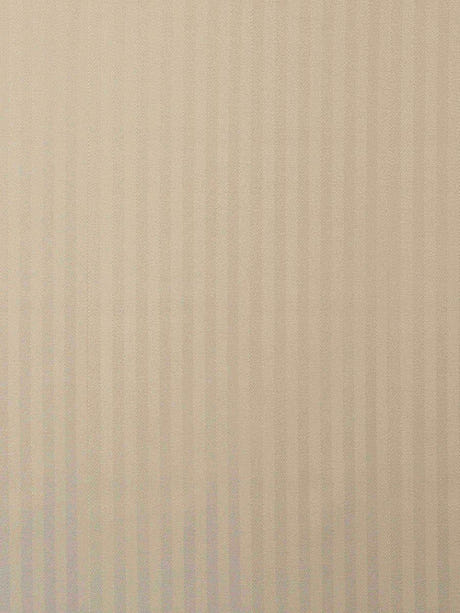 scalamandre tailor m1 mastic fabric - scala h04231-018