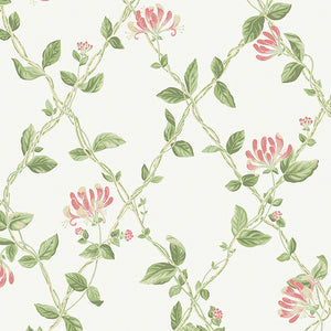 schumacher - honeysuckle - ivory - 8852 - wallpaper
