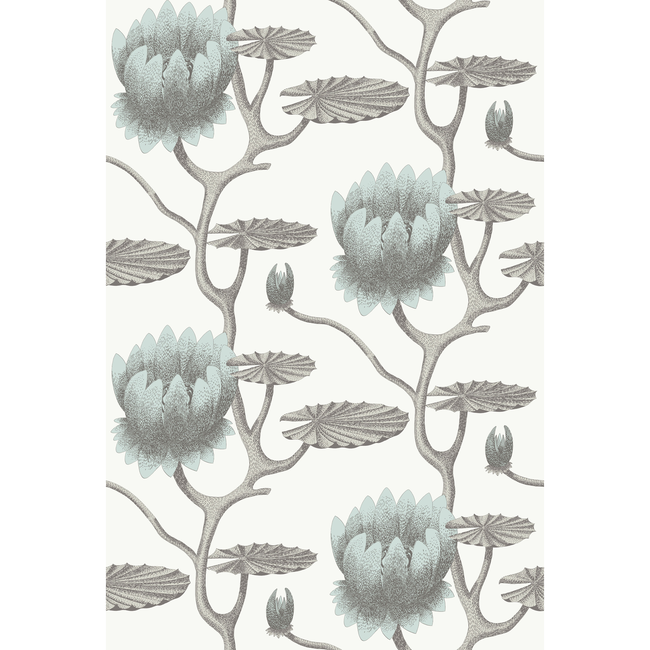 cole & son - summer lily - aqua/white - 95/4022.cs.0