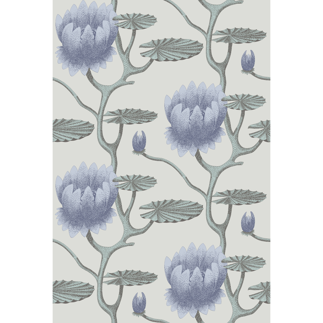 cole & son - summer lily - blu/aq/pearl - 95/4024.cs.0