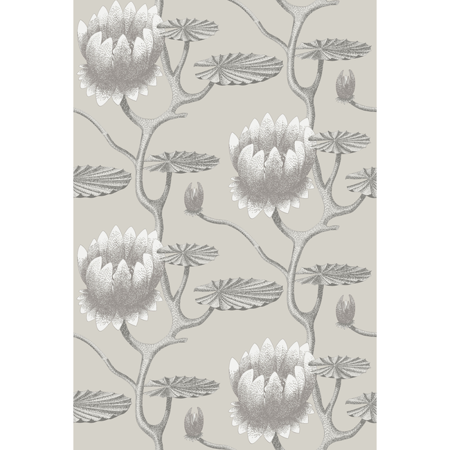 cole & son - summer lily - taupe/white - 95/4025.cs.0