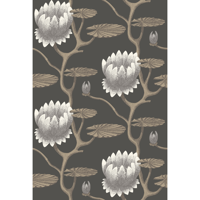 cole & son - summer lily - blk/wht/gold - 95/4026.cs.0