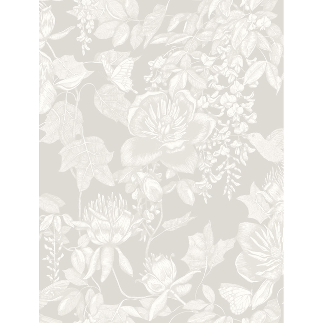 cole & son - tivoli - grey - 99/7030.cs.0