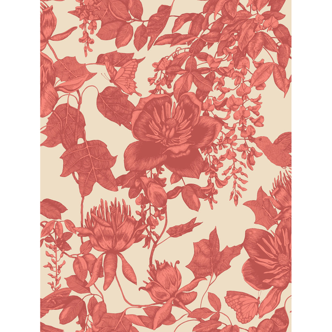 cole & son - tivoli - coral - 99/7033.cs.0