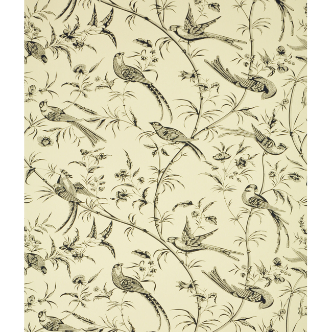 brunschwig & fils - bengali - black - br-69135.970.0