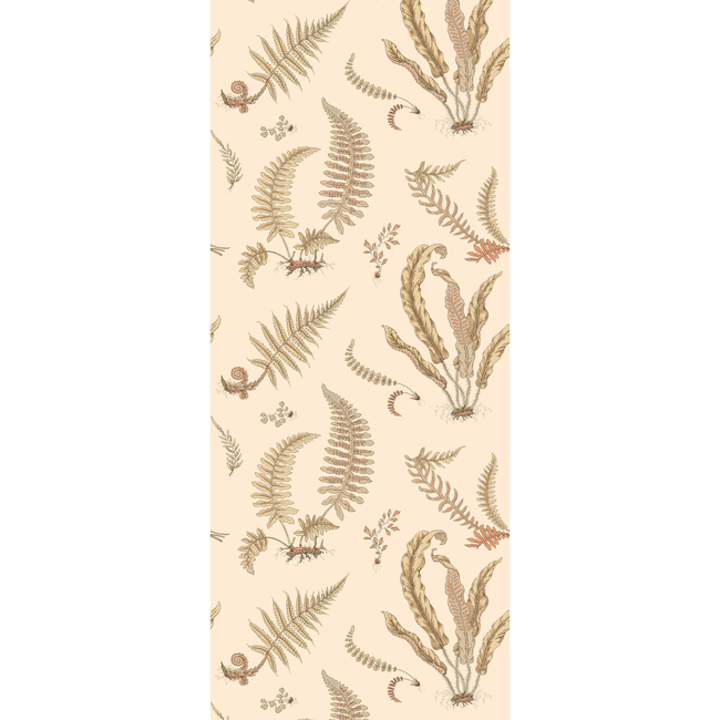 ferns - parchment - g p & j baker - bw45122.2.0