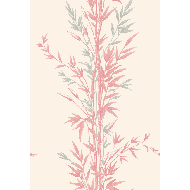 cole & son - bamboo - pink - 100/5024.cs.0