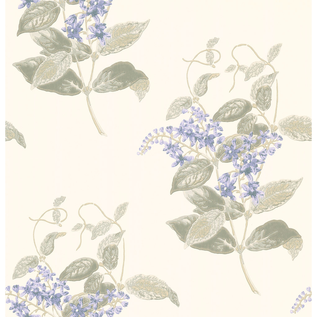 cole & son - madras violet - violet & grey - 100/12057.cs.0