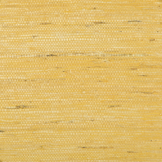 brunschwig & fils - kochi - gold - p8015146.4.0