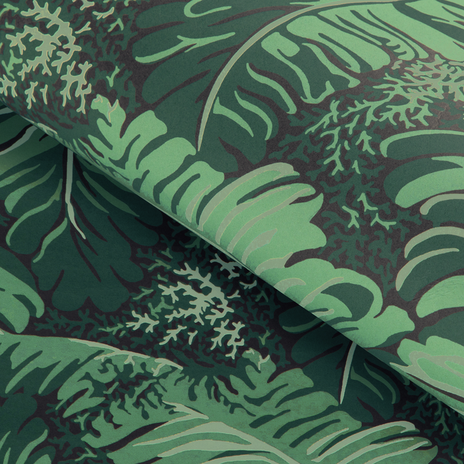 brunschwig & fils - feuilles de bananier - ivy - p8023109.33.0