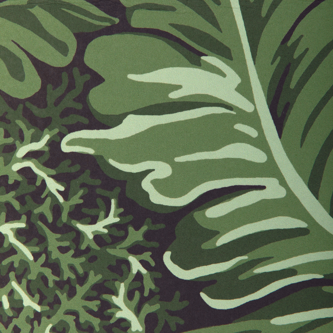 brunschwig & fils - feuilles de bananier - leaf - p8023109.3.0