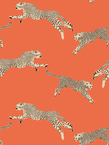 scalamandre - leaping cheetah clementine wallpaper - sc 0002wp88449