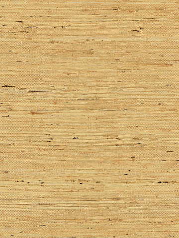 scalamandre - arrowroot weave honey wallpaper - sc 0003wp88344
