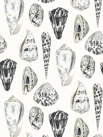 scalamandre - coquina graphite wallpaper - sc 0006wp88365