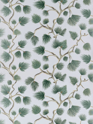 scalamandre - pignoli evergreen wallpaper - sc 0006wp88593d