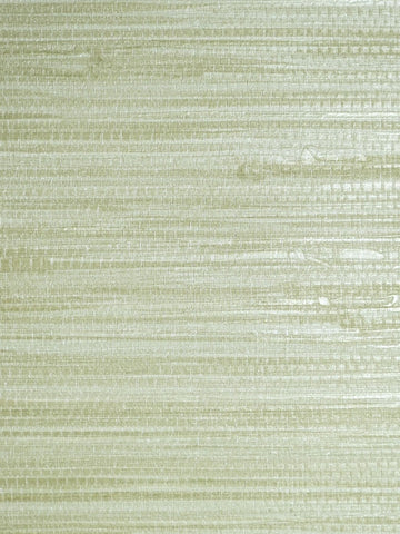 scalamandre - pampas seagrass wallpaper - sc 0014wp88438