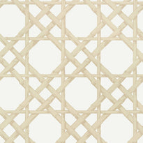 t13145 | cyrus cane, summer house thibaut wallpaper
