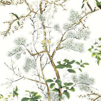 t13621 | katsura, grand palace - thibaut wallpaper