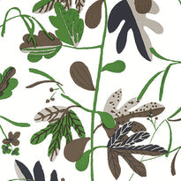t16208 | matisse leaf, kismet - thibaut wallpaper