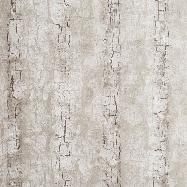 clarke & clarke - tree bark - birch - w0062/02.cac.0