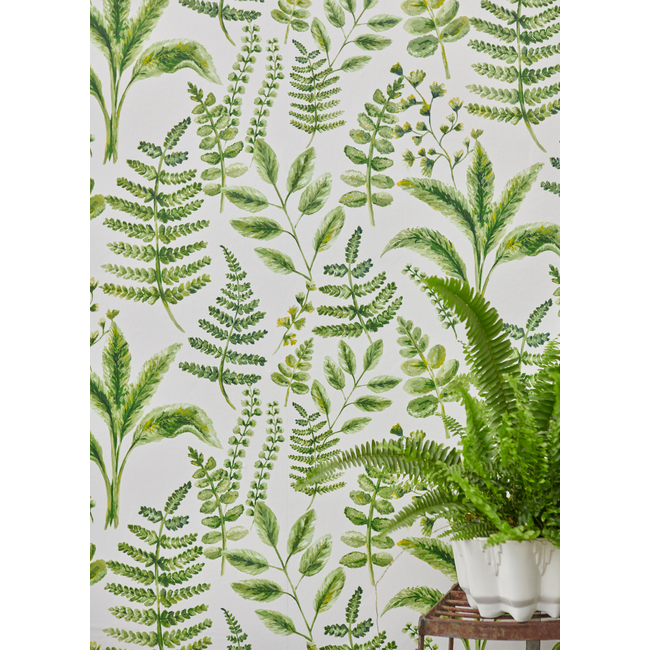 clarke & clarke - bracken - forest wallpaper - w0156/02.cac.0