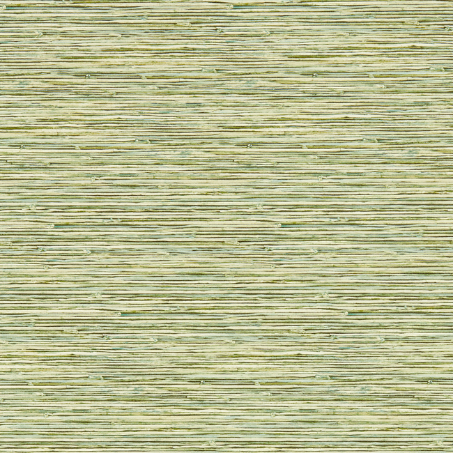 clarke & clarke - xan - palm wallpaper - w0192/04.cac.0