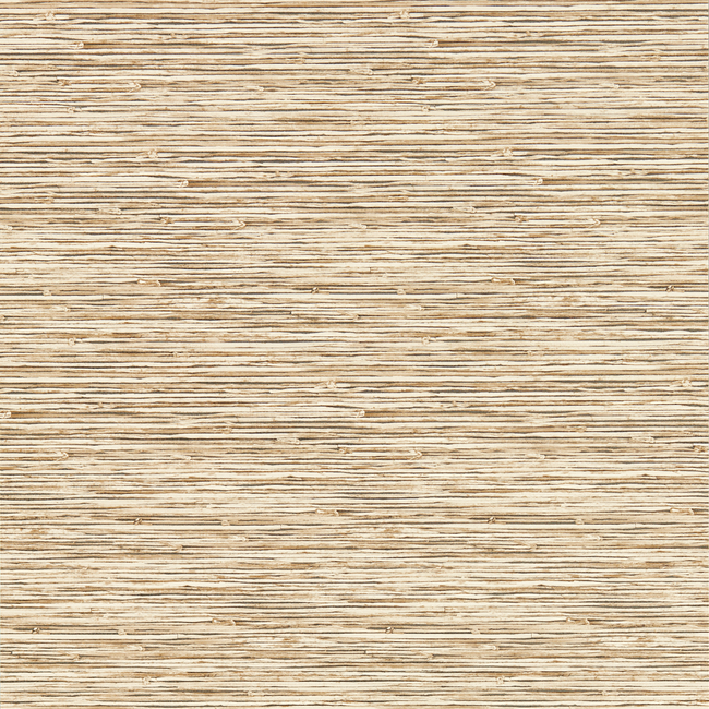 clarke & clarke - xan - sahara wallpaper - w0192/06.cac.0