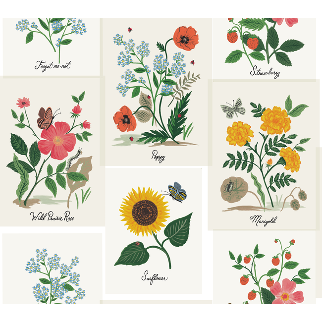 kravet design - kravet design - w3947-73