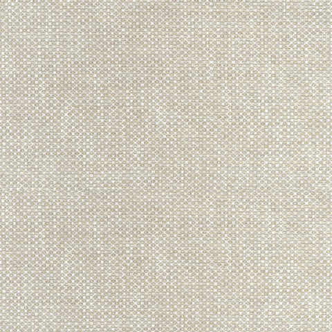 Cascade Dove Fabric - W75255 - Thibaut Fabric