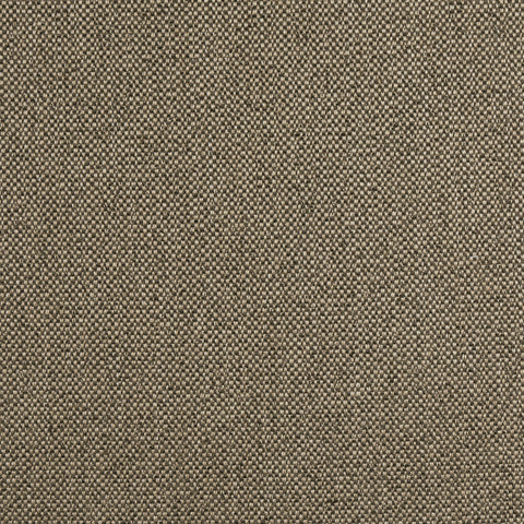 Tinta Mocha Fabric - W8129 - Thibaut Fabric
