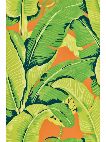 scalamandre - hinson palm aperol spritz wallpaper - whn 000244000m
