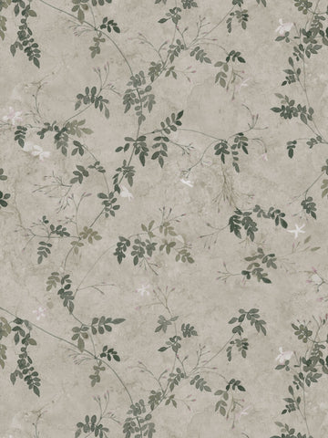 scalamandre - irene olive green wallpaper - wsb 001210111