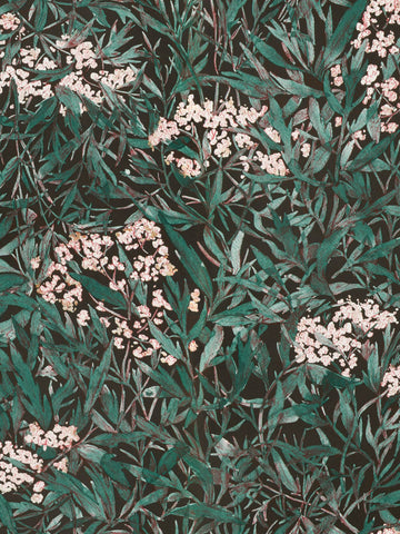 scalamandre - malin black wallpaper - wsb 00810225