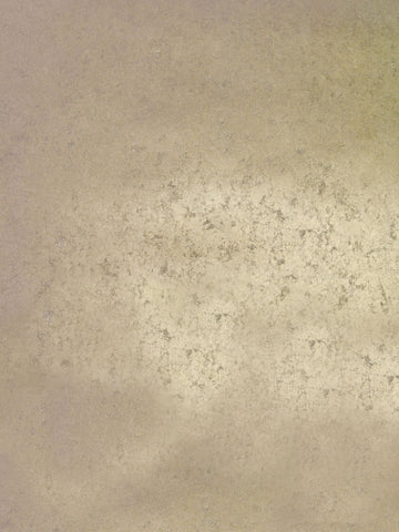 scalamandre - hand hammered leaf nickel wallpaper - wto ml295