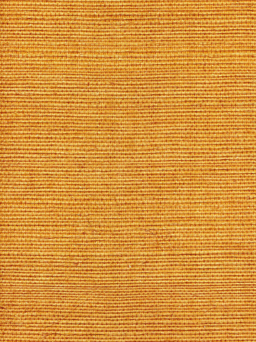scalamandre - organic sisal tuscan wallpaper - wtw gt3901