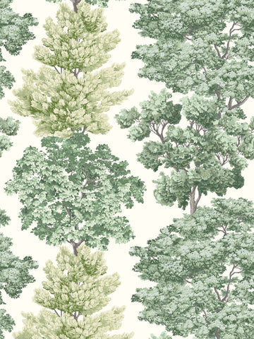 scalamandre - central park green wallpaper - ww 0001wp88583d