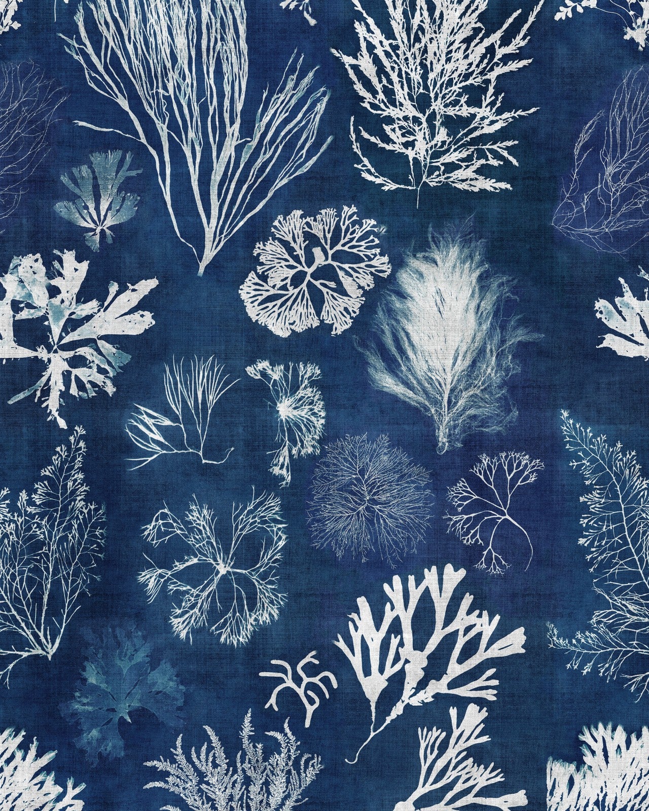 mind the gap - algae navy blue wallpaper - wp20297
