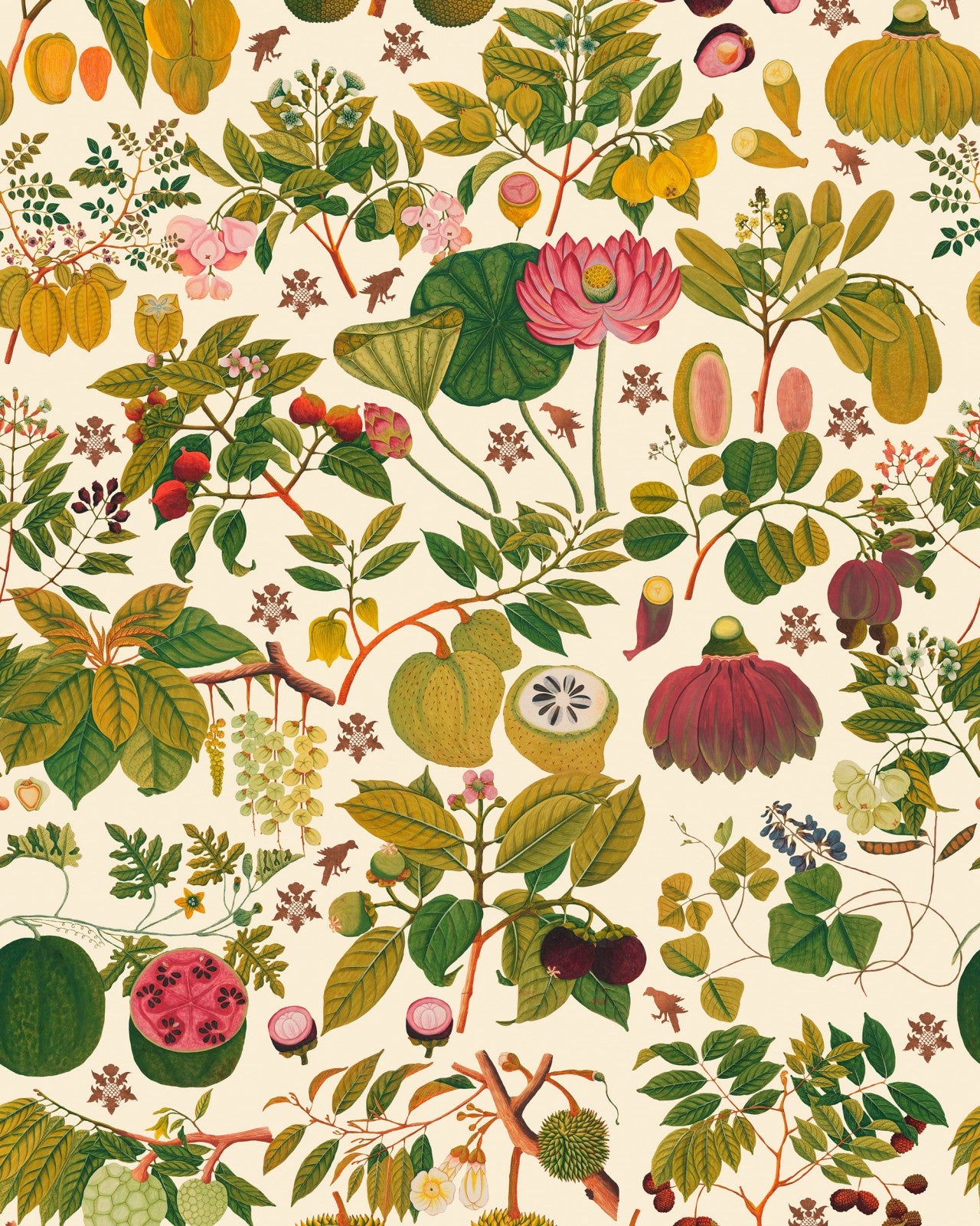 mind the gap - asian fruits and flowers wallpaper - wp20315