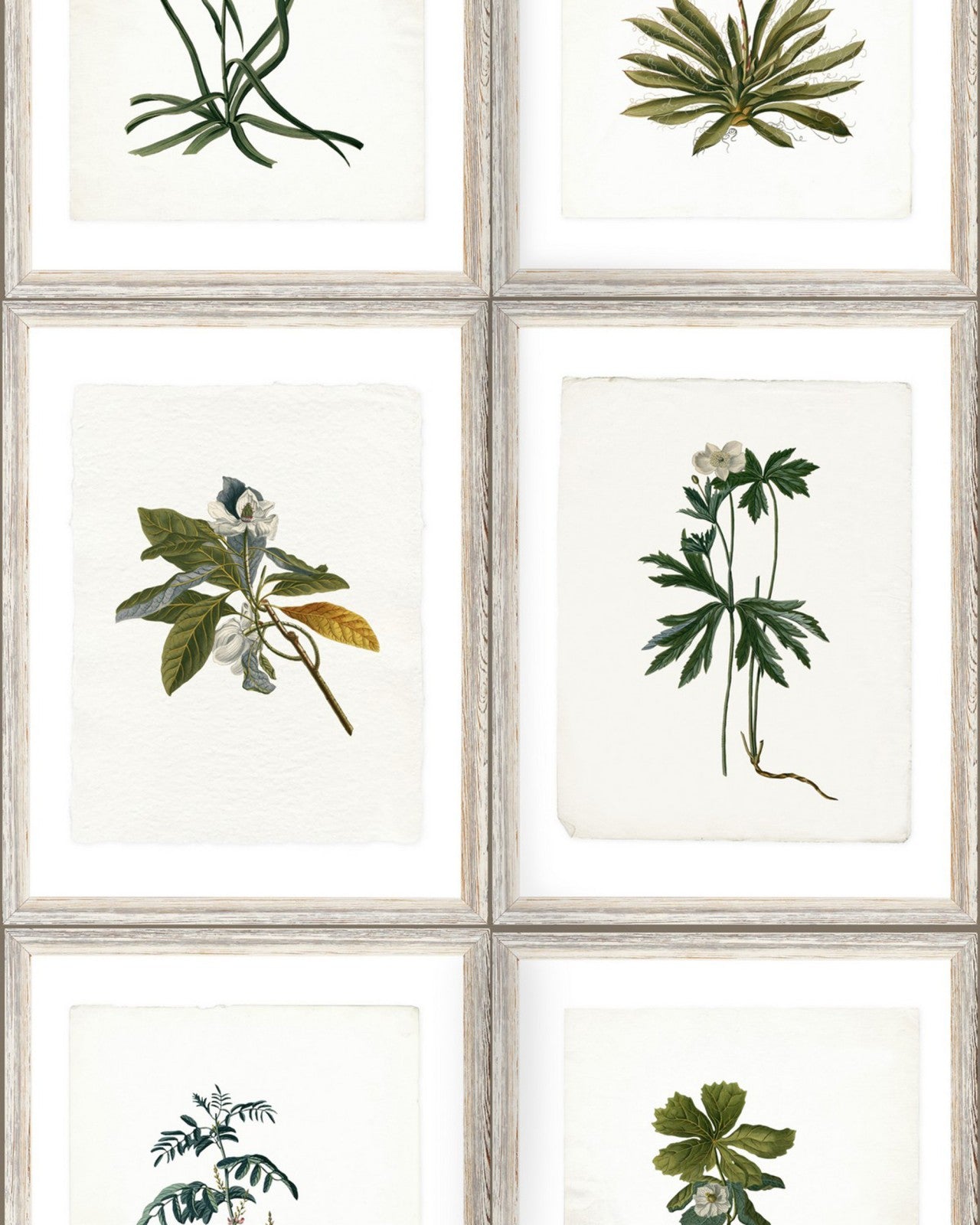 mind the gap - botany wallpaper - wp20153