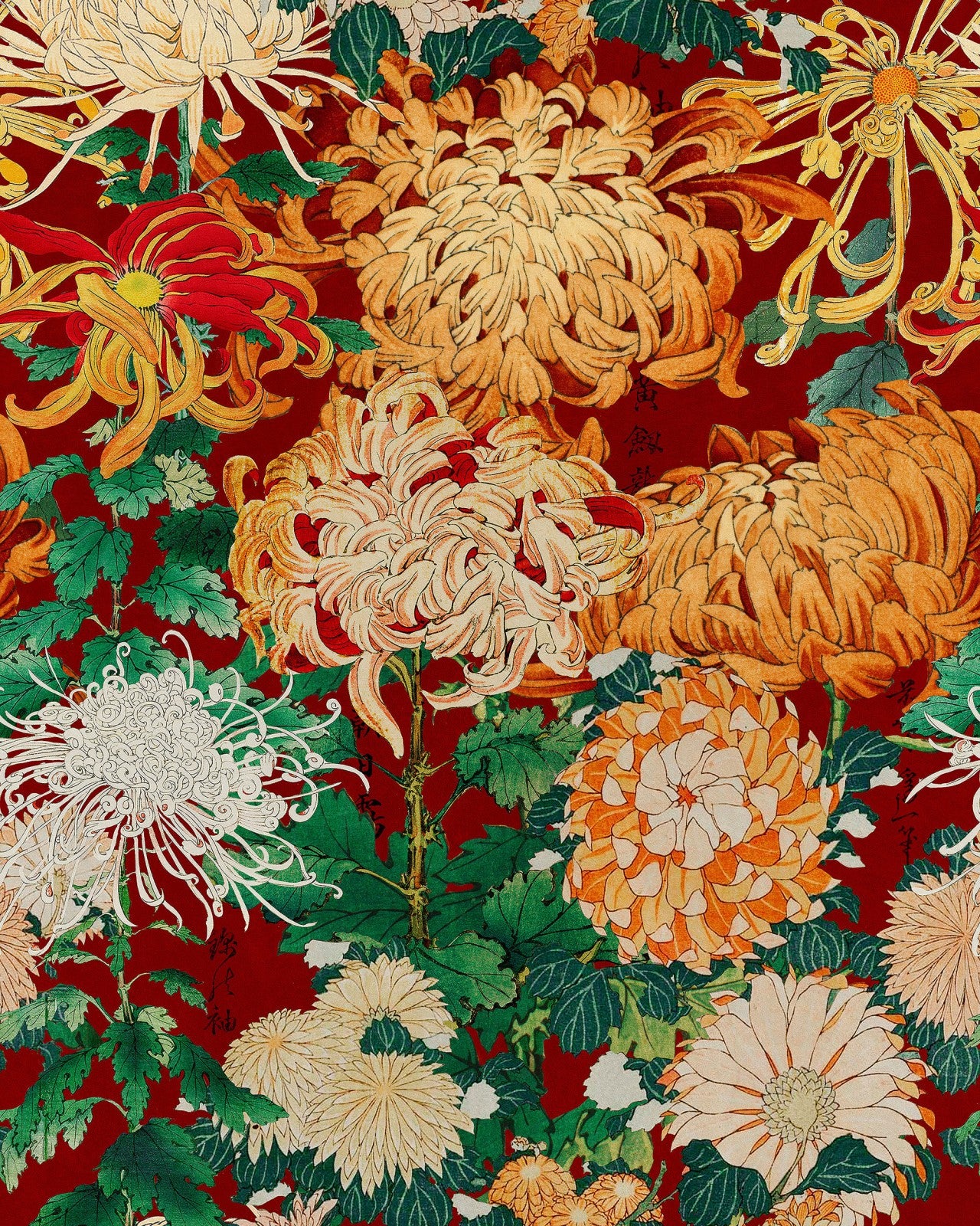 mind the gap - chrysanthemums wallpaper - wp20320