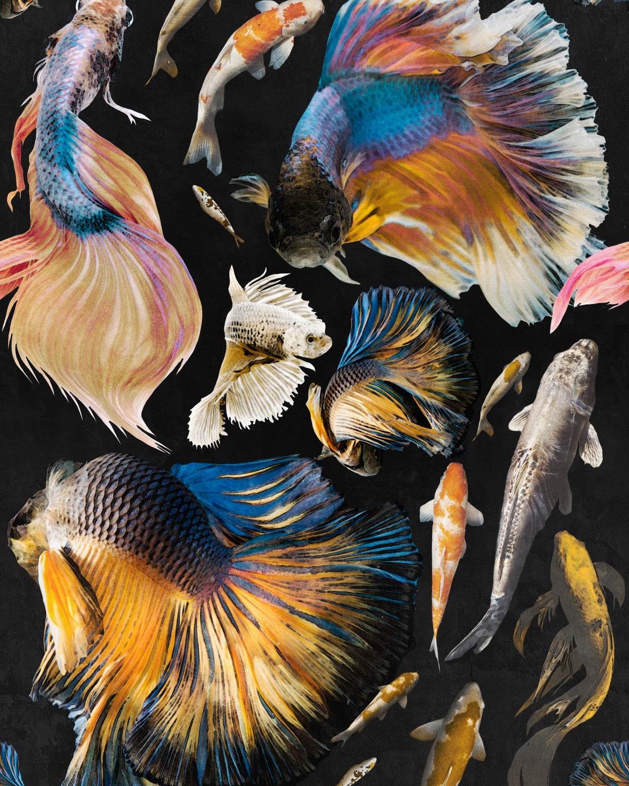 mind the gap - goldfish anthracite wallpaper - wp20301