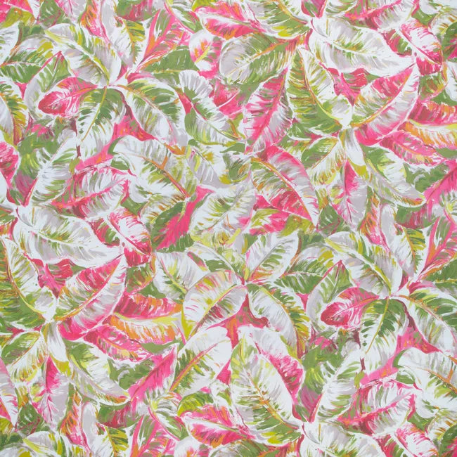 brunschwig & fils - diani - spring - p8022109.73.0