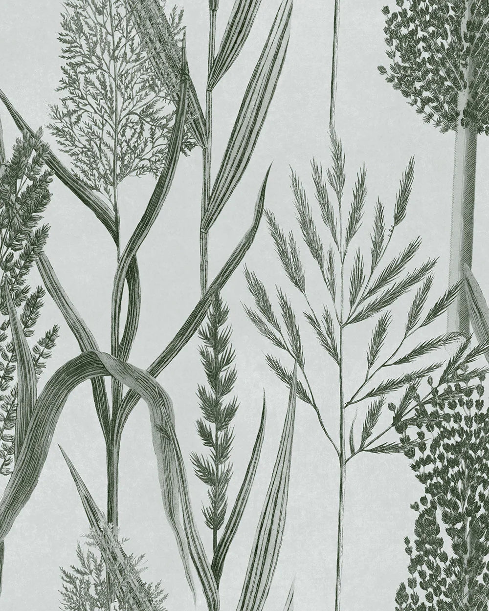 mind the gap - riverside flora offwhite wallpaper - wp30165