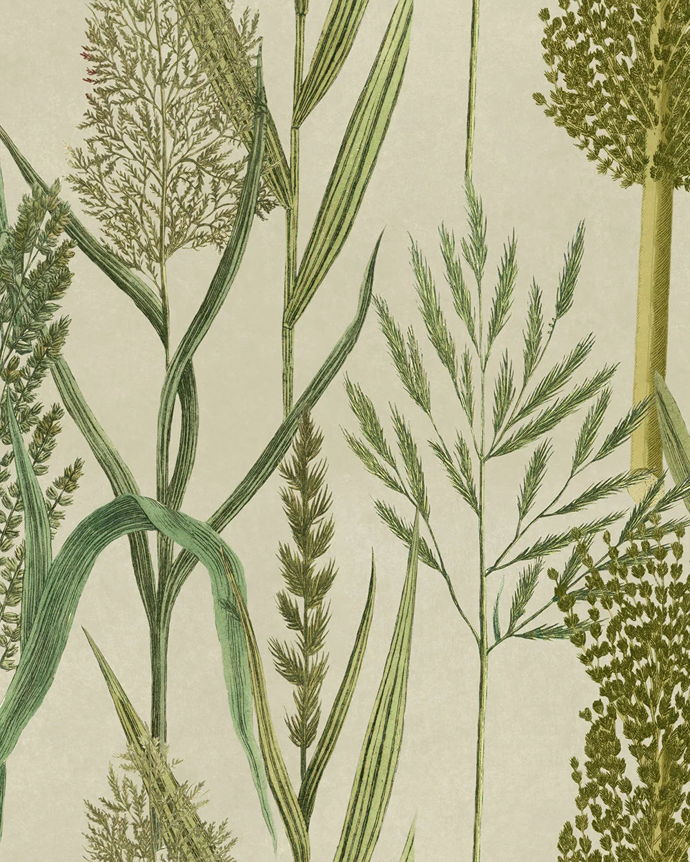 mind the gap - riverside flora taupe wallpaper - wp30164