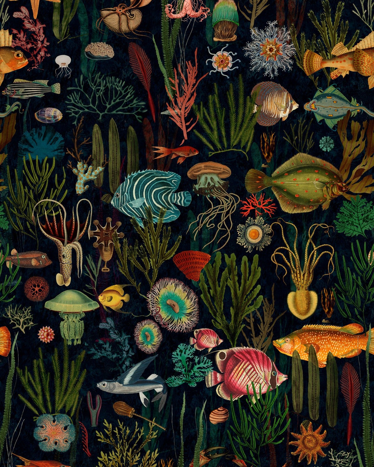 mind the gap - oceania wallpaper - wp20304