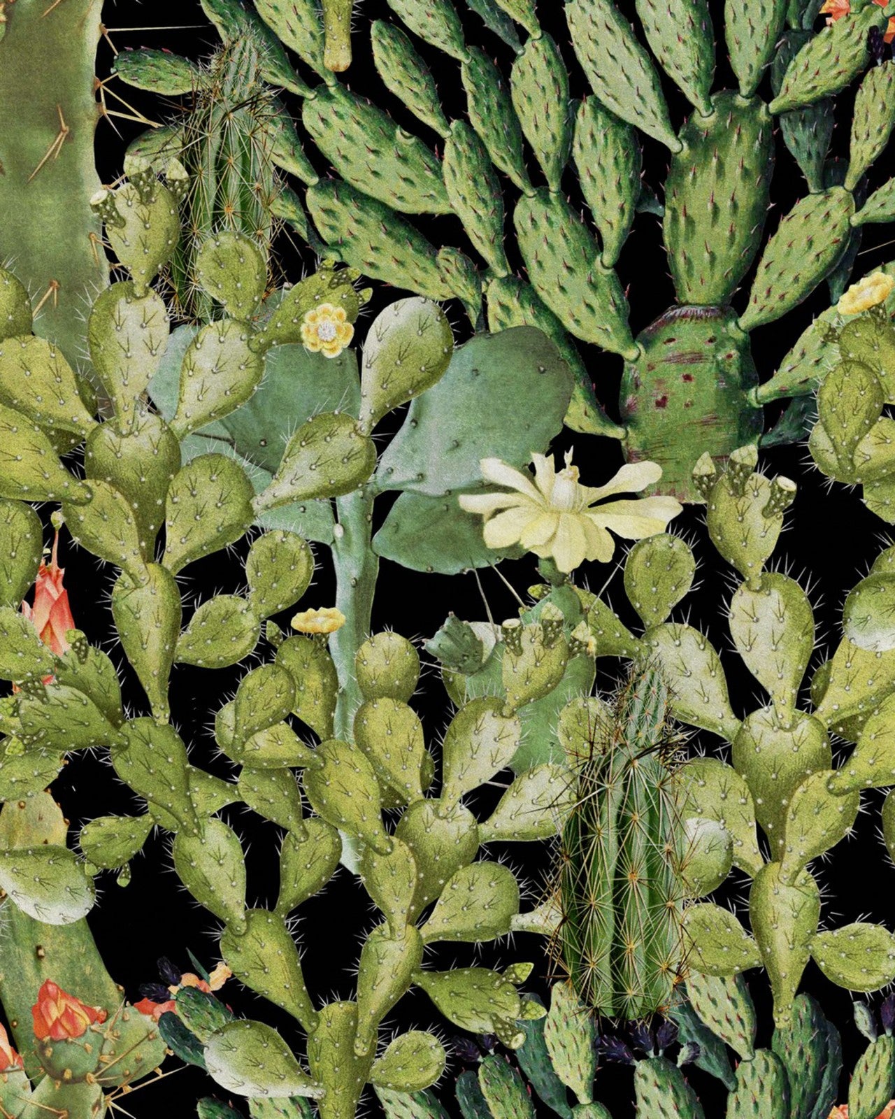 mind the gap - opuntia anthracite - wp20165